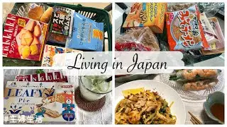 Grocery Shopping in Japan Supermarket, Teatime With Me, Make an Ethnic Dinner | JAPAN VLOG
