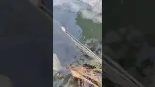 Winter ice drop net fishing