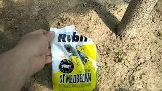 Лук на перо,в балагане без стеллажей.Подготовка грунта