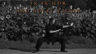 Wudang Jibenquan - Daoist Gongfu Basic Fist Routine
