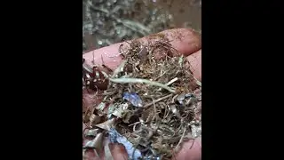 Измельчитель шредер для металлической стружки