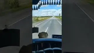 Ребята Я с вами
