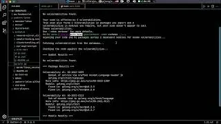 Utilidad de govulncheck, explicación y ejemplo práctico