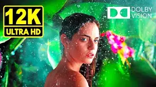 Pure Blacks 12K HDR 60fps * Dolby Vision *
