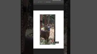 Generative Fill Adobe Photoshop | Adobe Firefly AI