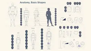 Introduction to character design for beginners with simple proportions and shapes explained_Arttutor