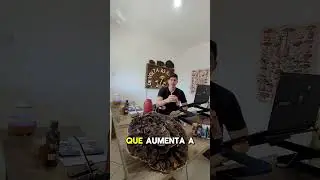 sobre o Instagram: De volta as Raízes cogumelos