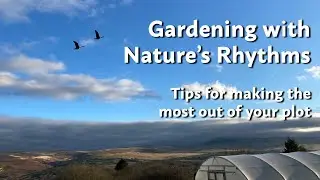 How to Garden with the Seasons | Liz Zorab shares her tips for making the most out of your plot