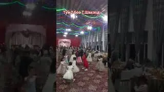 Туй 2 16 00