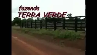 TERRA VERDE