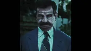 Mr  Wilson's Revenge | Pogo