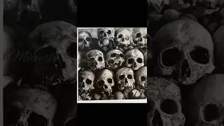 Photo Realistic Skull Catacomb Charcoal Drawing Time Lapse