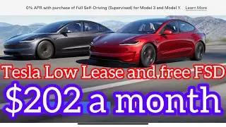 Leasing a 2024 Tesla model 3 for as low as $202 a month with Free FSD 1month   Full Self Driving