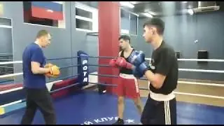 Работа на лапах с двумя боксёрами