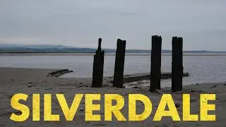 Bimble: Silverdale