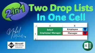Two Drop Lists in A Single Cell - Amazing Data Validation