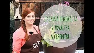 Srdcom záhradník - Jesenná dekorácia z kvitnúcich trvaliek v črepníku s Perovcom 'CASSIAN'