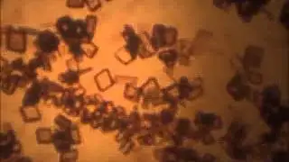 Crecimiento de cristales