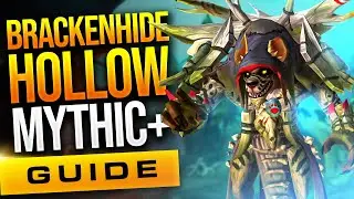 10.1 Brackenhide Hollow Mythic+ Guide