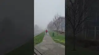 Foggy weather in Burnaby, BC.
