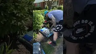 Mulching the Garden #diydad #lawncare #garden