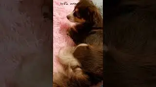 ты че обиделась