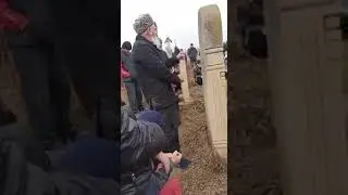 Курбан кустекский