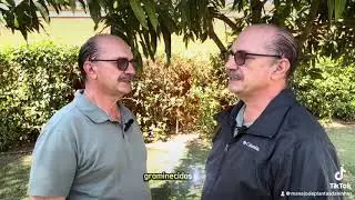 4 de agosto de 2024