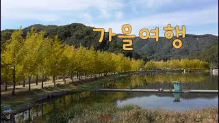 가을 단풍 여행#1