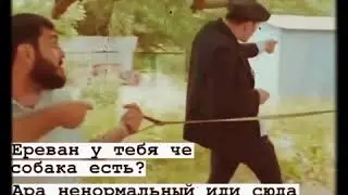 Kaxa СеРгО лучшие цитаты#2