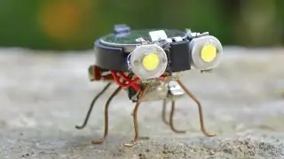 How to make a Robot - Tiny Bug Robot at Home