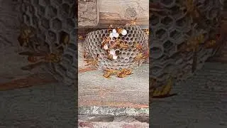 В свободное время чем занимаешься?#шутка #смех #юмор