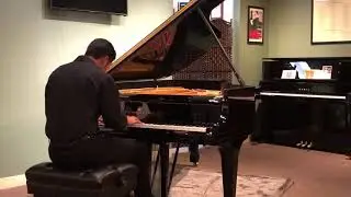 Chopin Nocturne Op. 48 No. 1 in C minor - Daniel Serville