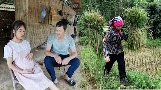 The husband cheated because his wife could not give birth to a son, single mother life, Ly Vy Ca