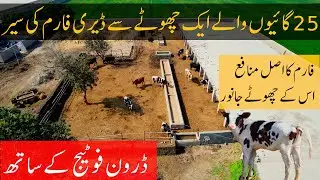 A visit to our dairy farm - Sadiqabad