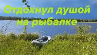 РЫБАЛКА. Ловля окуня и щуки на спиннинг на озере в лесу.