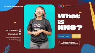 What is Network Nervous System (NNS)?