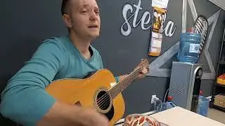 Песня под гитару со смыслом - Ветка вишни -
