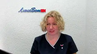Royal Canin дал ответ. Какие корма нельзя покупать.