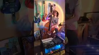 Bass Groove (upright)