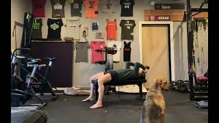 Dumbbell Skull Crusher