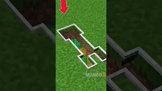 Which pit to choose? #shorts #minecraft