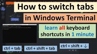 How to switch tabs in Windows Terminal