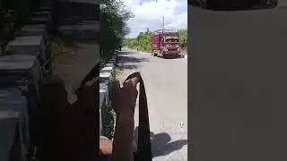 viral di Kupang, jalan dengan nona baru dapat tilang