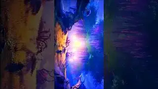 Wuthering Waves - [4K EDIT] | The Beauty Of Wuthering Waves | Suzume #wutheringwaves #genshinimpact