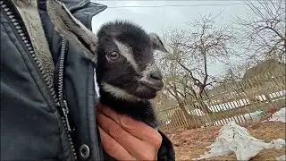 24.03.24 г. Здравствуй Тишка. "-Таможня дает добро!"