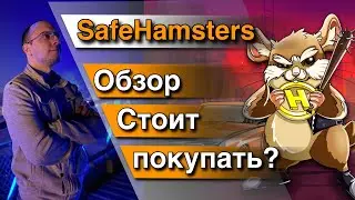 SafeHamsters обзор / safehamsters token / safehamsters как купить / safehamsters новости