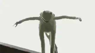 He really fell from the sky…