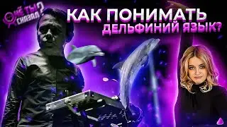 Концерт ДЕЛЬФИНА: ПОНИМАЮТ ЛИ ЕГО СЛУШАТЕЛИ? На что фанаты ТРАТЯТ СВОЕ ВРЕМЯ? Весна ВЖИВУЮ / ЧТС #17