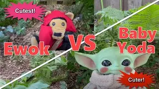 Baby Yoda vs Ewok